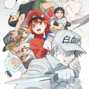 Cells at Work!!
